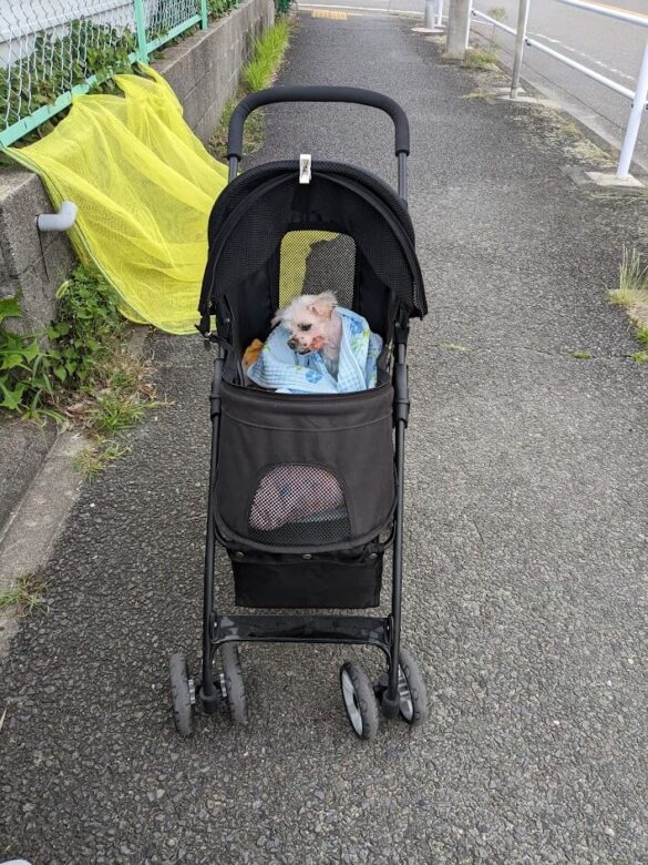 Front view of pet cart