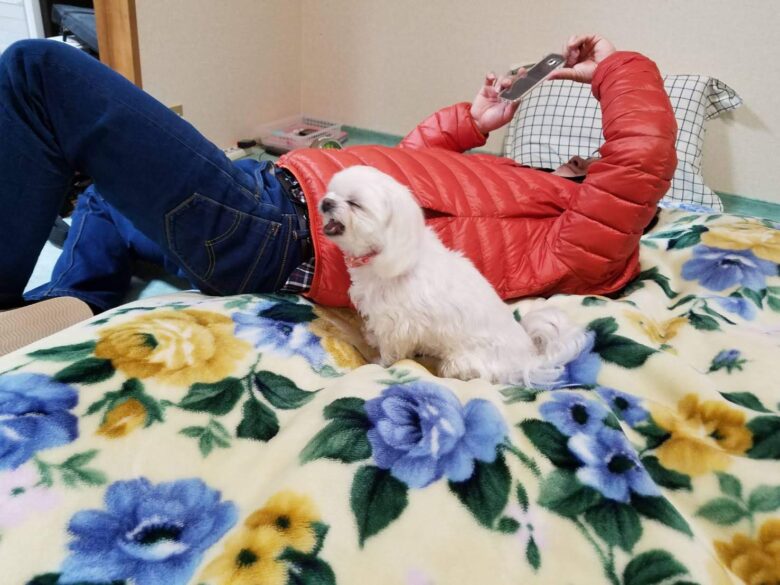 2019/1の愛犬